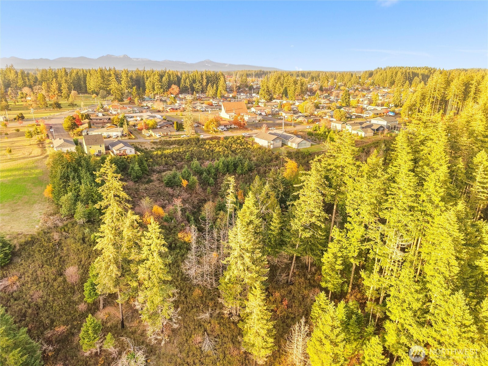 509 W B Street , Shelton, WA 98584