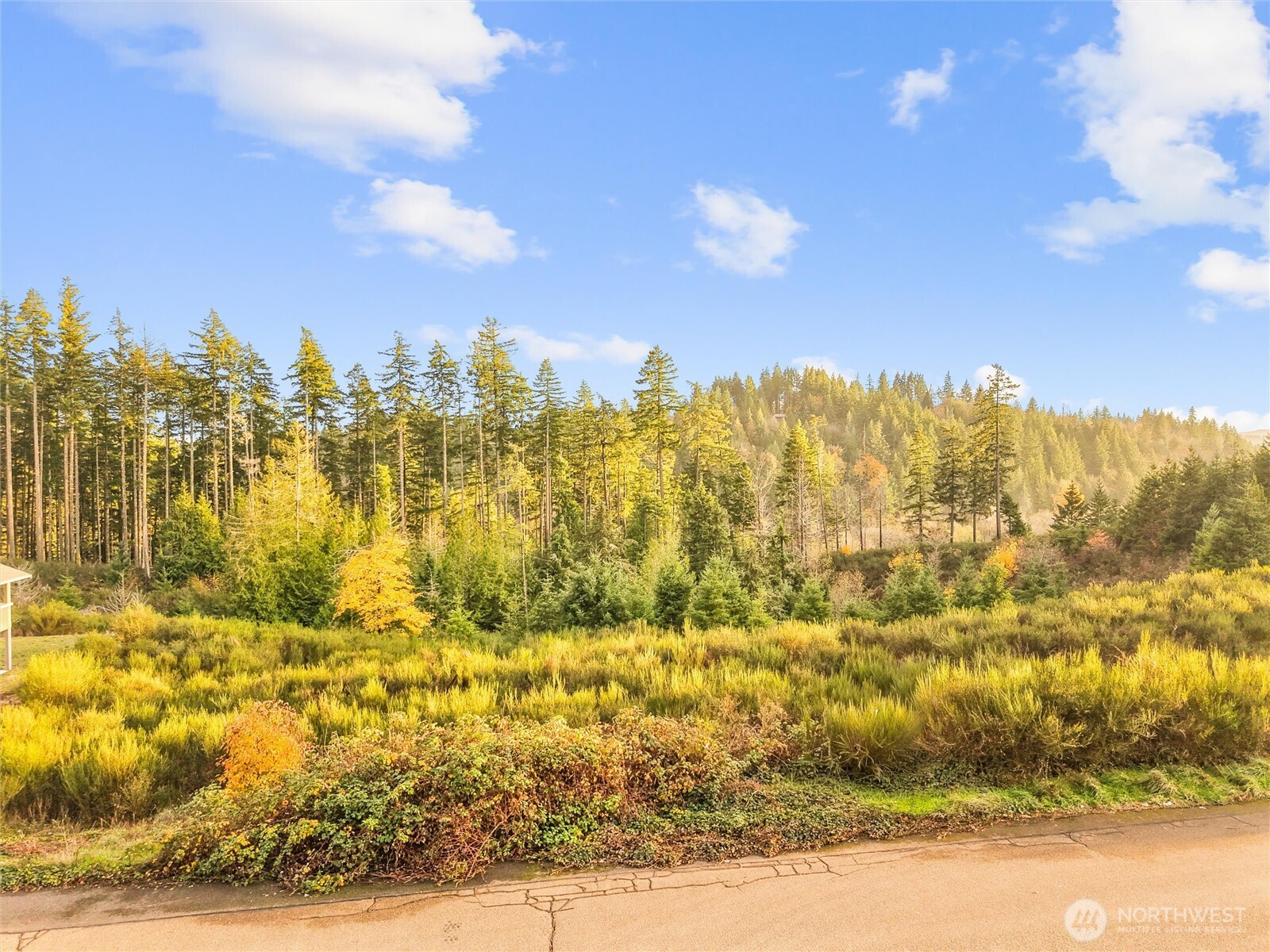 509 W B Street , Shelton, WA 98584