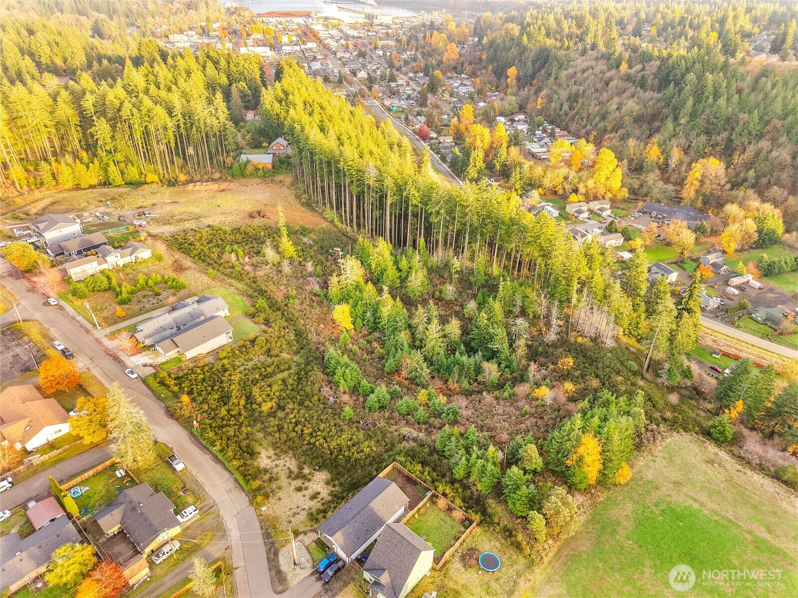 509 W B Street , Shelton, WA 98584