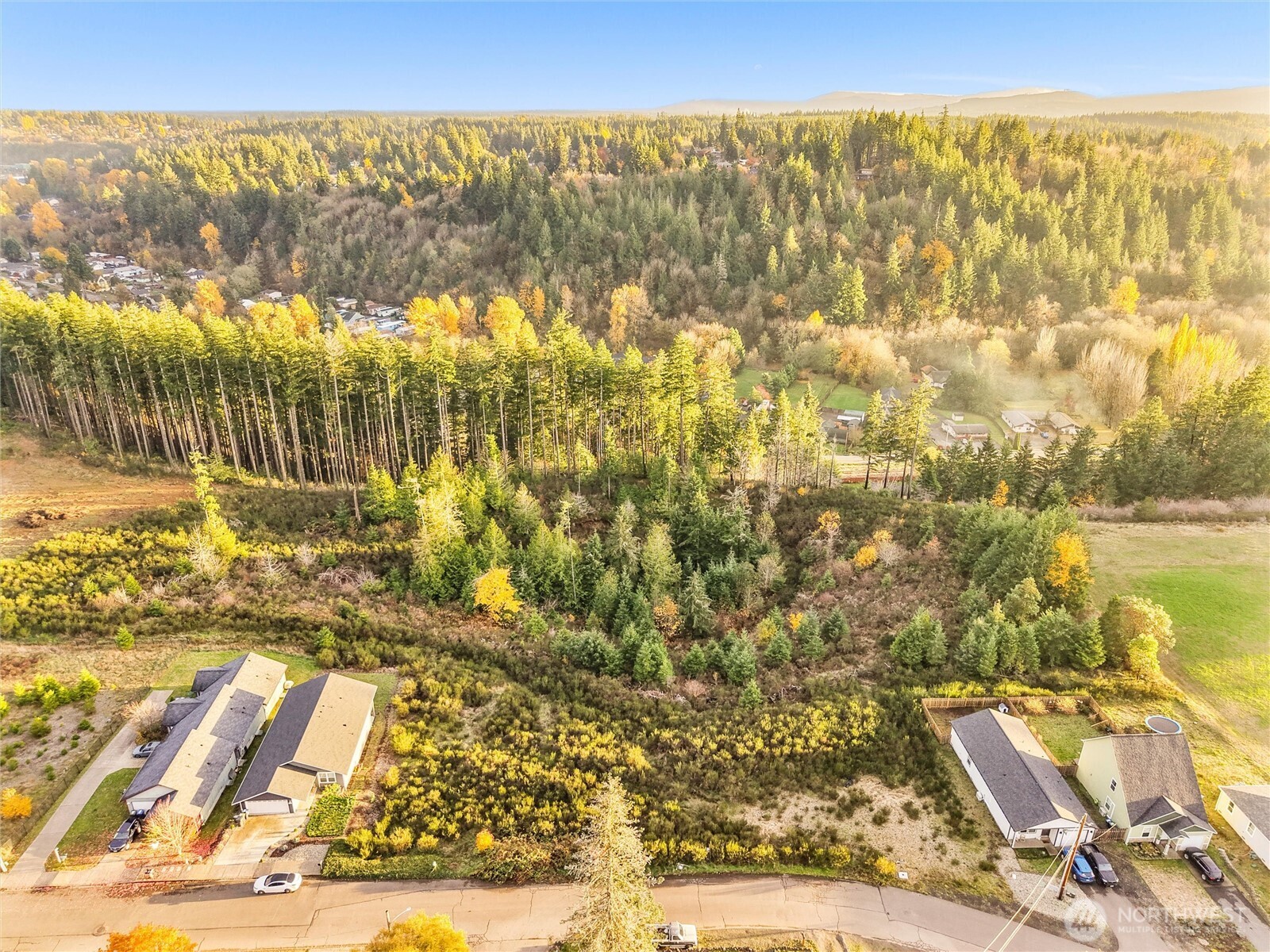 509 W B Street , Shelton, WA 98584
