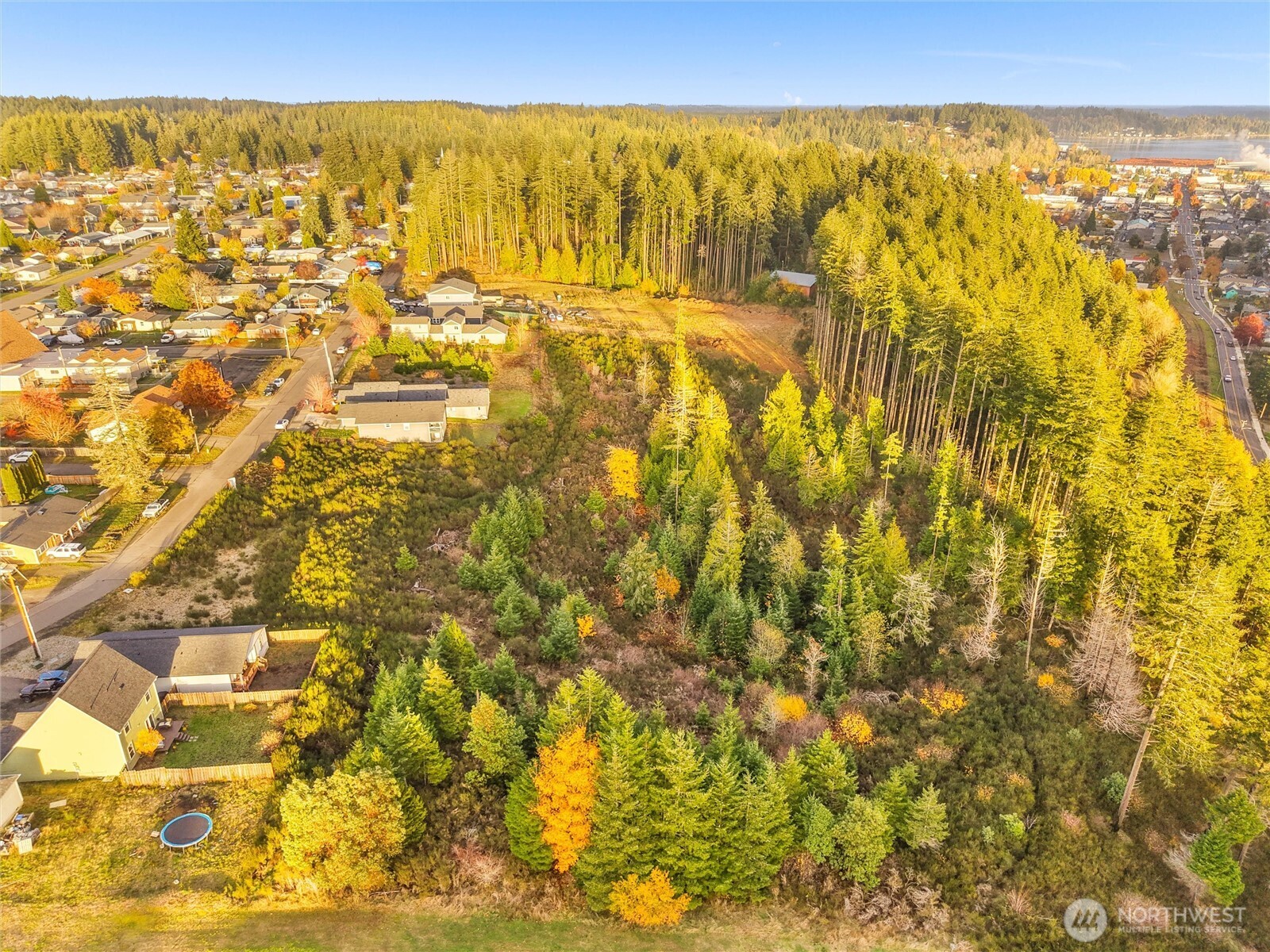 509 W B Street , Shelton, WA 98584