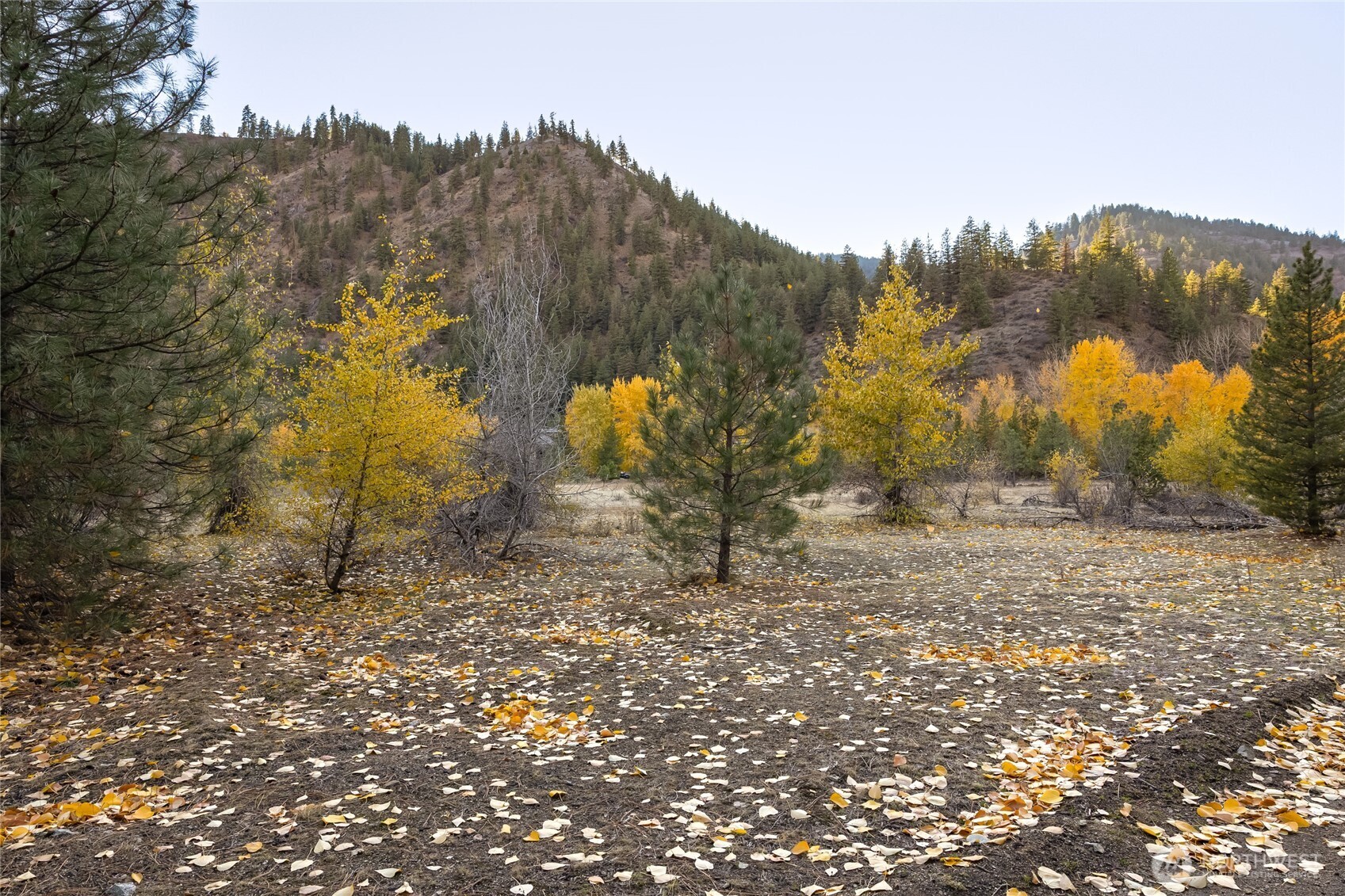 309 Mad Ranch Lane , Entiat, WA 98822
