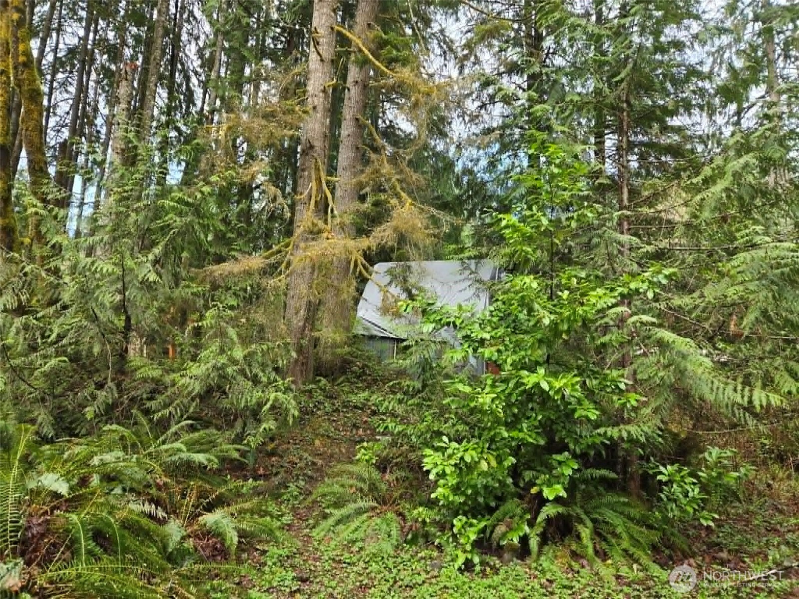 23208 Alder Drive , Granite Falls, WA 98252