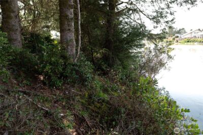 335 Chaparral Street SE, Ocean Shores, WA 98569 - Photo 7