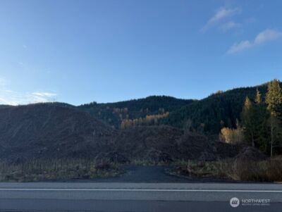 0 US Highway 12 , Glenoma, WA 98336 - Photo 3