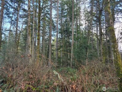 233 XX State Highway 3 NW, Poulsbo, WA 98370 - Photo 16