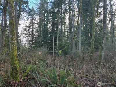 233 XX State Highway 3 NW, Poulsbo, WA 98370 - Photo 17