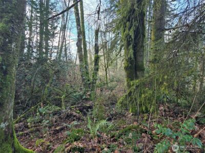 233 XX State Highway 3 NW, Poulsbo, WA 98370 - Photo 2