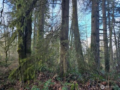 233 XX State Highway 3 NW, Poulsbo, WA 98370 - Photo 19