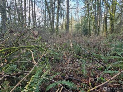 233 XX State Highway 3 NW, Poulsbo, WA 98370 - Photo 20