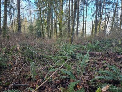 233 XX State Highway 3 NW, Poulsbo, WA 98370 - Photo 21