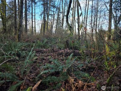 233 XX State Highway 3 NW, Poulsbo, WA 98370 - Photo 22