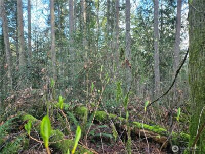 233 XX State Highway 3 NW, Poulsbo, WA 98370 - Photo 23