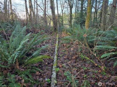 233 XX State Highway 3 NW, Poulsbo, WA 98370 - Photo 25