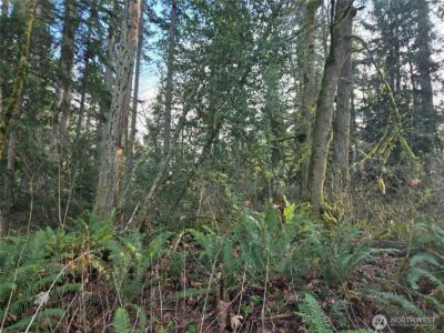 233 XX State Highway 3 NW, Poulsbo, WA 98370 - Photo 26