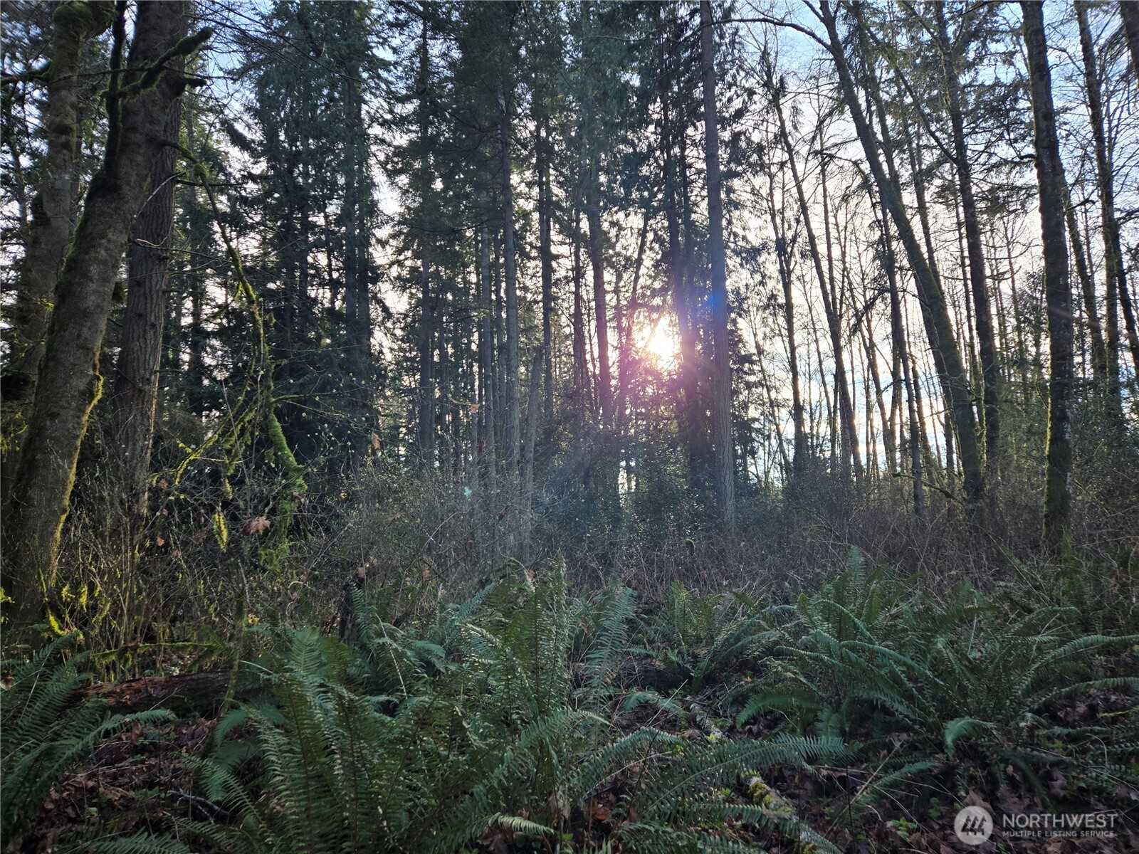 233 XX State Highway 3 NW, Poulsbo, WA 98370