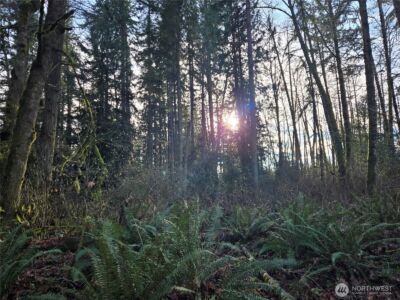 233 XX State Highway 3 NW, Poulsbo, WA 98370 - Photo 27