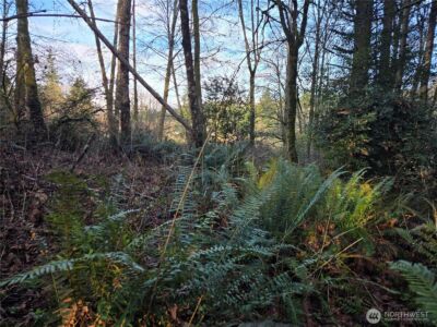 233 XX State Highway 3 NW, Poulsbo, WA 98370 - Photo 28