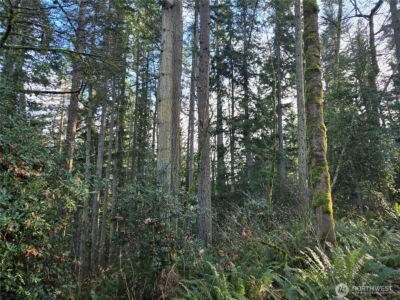 233 XX State Highway 3 NW, Poulsbo, WA 98370 - Photo 29