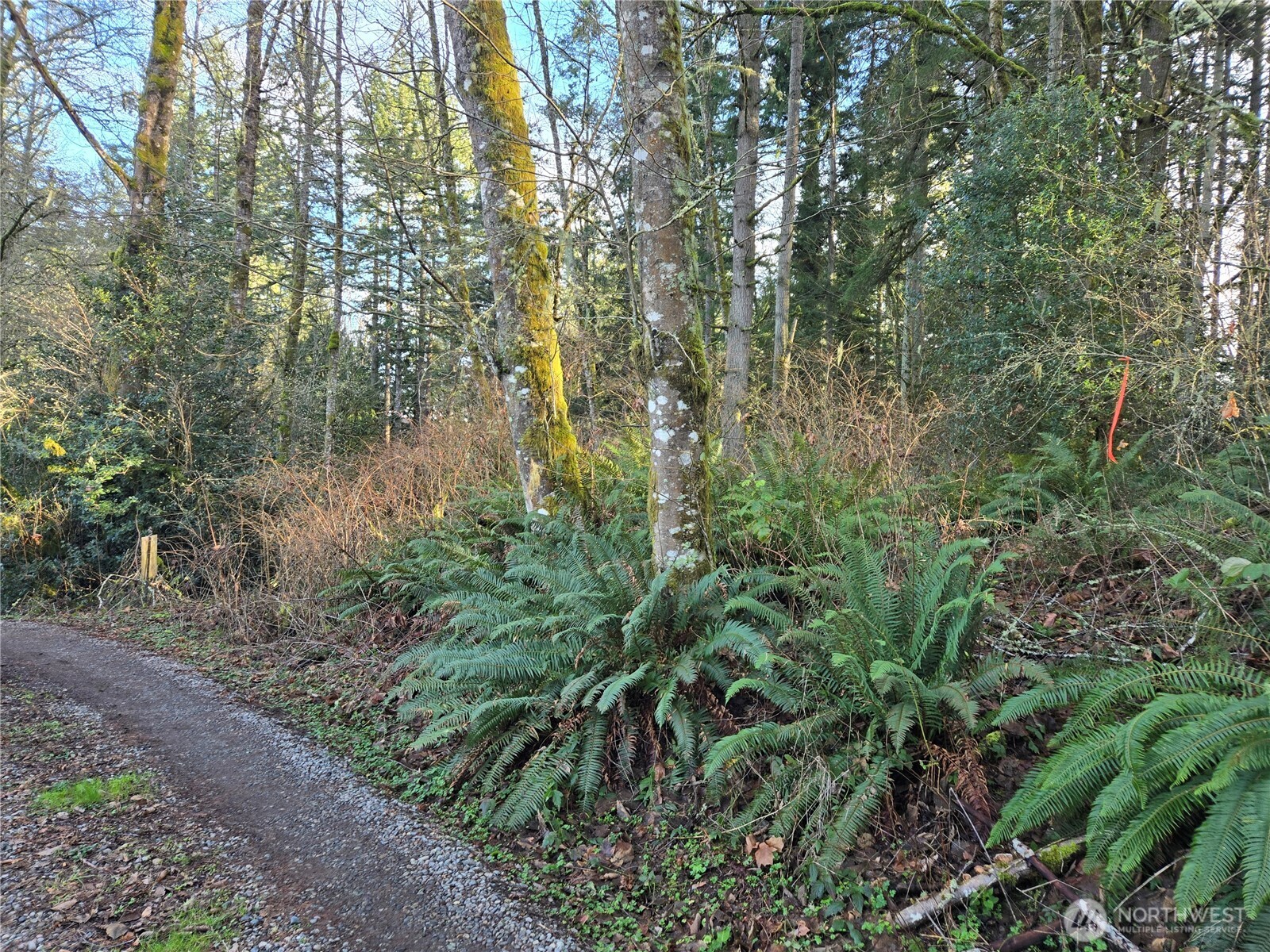 233 XX State Highway 3 NW, Poulsbo, WA 98370