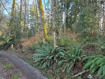 233 XX State Highway 3 NW, Poulsbo, WA 98370 - Photo 4