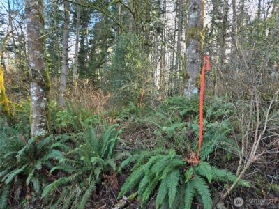 233 XX State Highway 3 NW, Poulsbo, WA 98370 - Photo 32