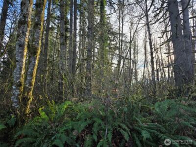 233 XX State Highway 3 NW, Poulsbo, WA 98370 - Photo 5