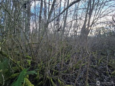 233 XX State Highway 3 NW, Poulsbo, WA 98370 - Photo 11