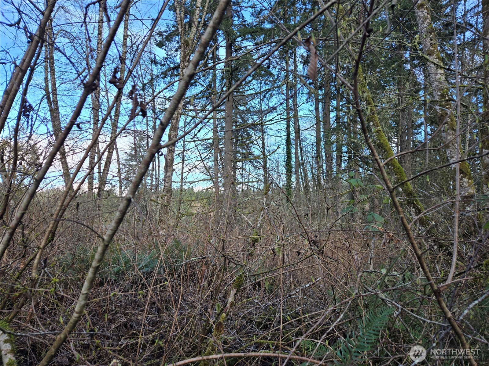233 XX State Highway 3 NW, Poulsbo, WA 98370