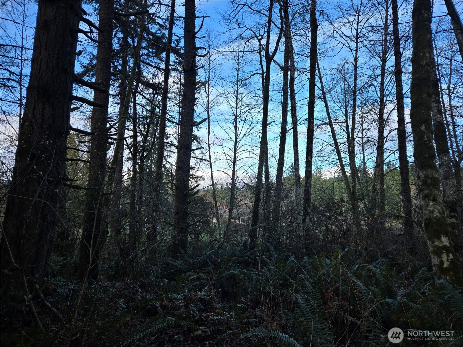 233 XX State Highway 3 NW, Poulsbo, WA 98370