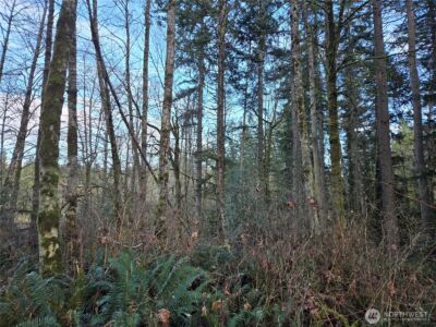 233 XX State Highway 3 NW, Poulsbo, WA 98370 - Photo 15