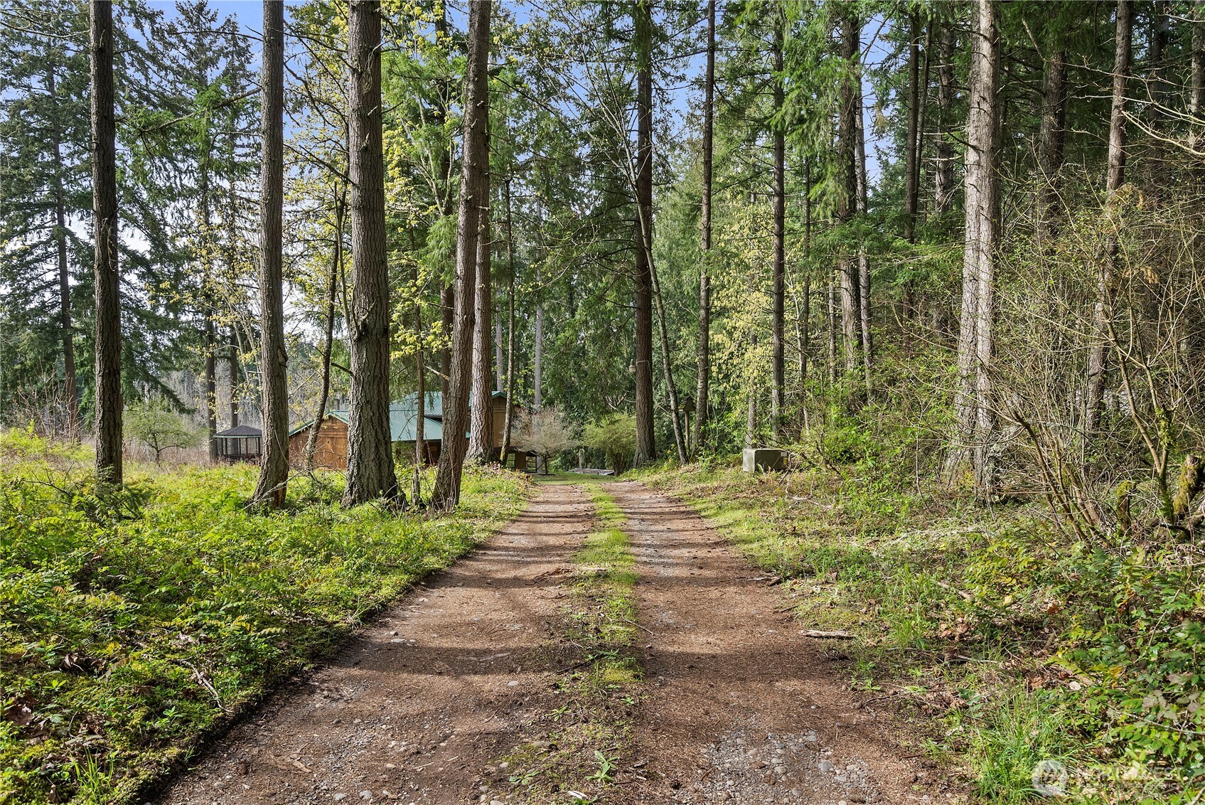 7119 345th Street S, Roy, WA 98580
