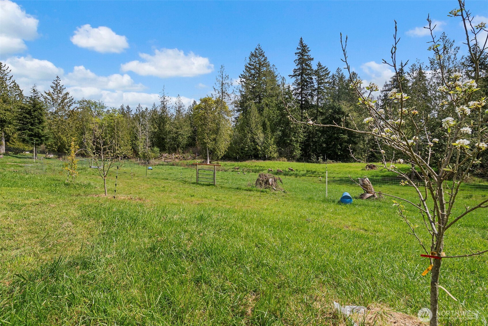291 E Orchid Lane , Grapeview, WA 98546