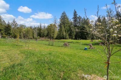 291 E Orchid Lane , Grapeview, WA 98546 - Photo 20
