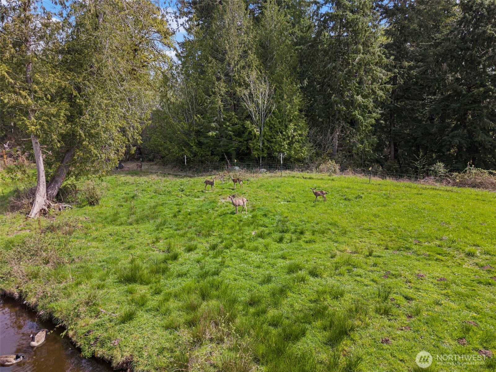 291 E Orchid Lane , Grapeview, WA 98546