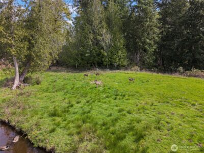 291 E Orchid Lane , Grapeview, WA 98546 - Photo 28