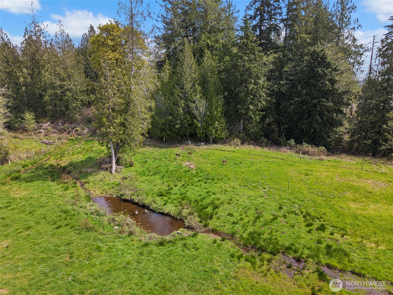 291 E Orchid Lane , Grapeview, WA 98546