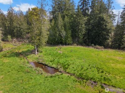 291 E Orchid Lane , Grapeview, WA 98546 - Photo 29