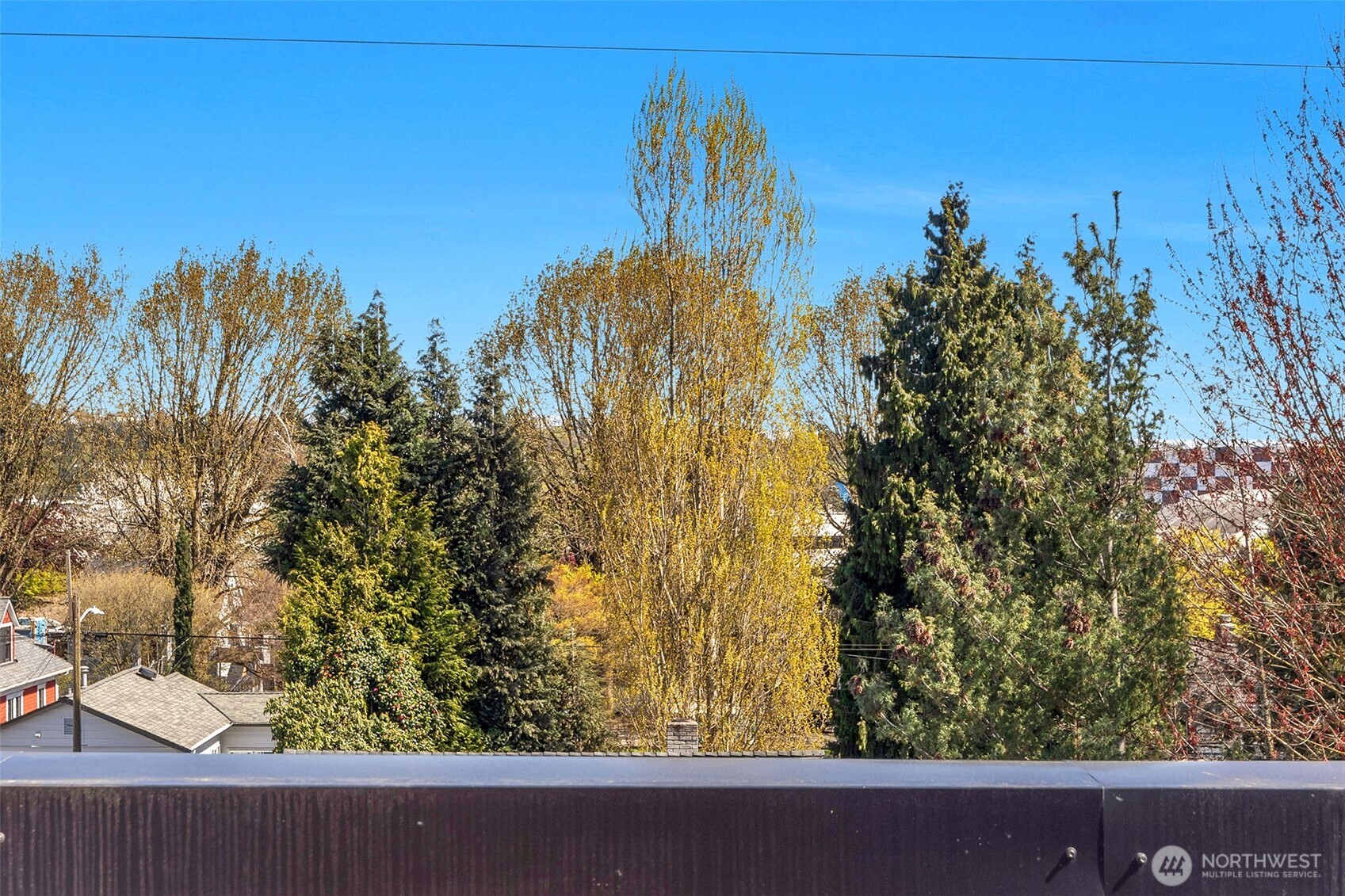 6725 Carlton Avenue #A,B,C, Seattle, WA 98108