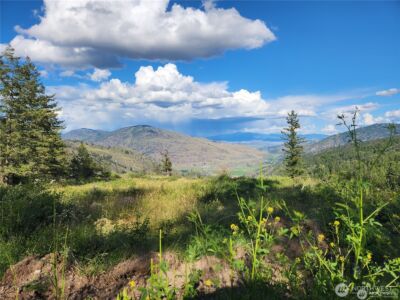 350 TBD Toats Coulee Road , Loomis, WA 98827 - Photo 1