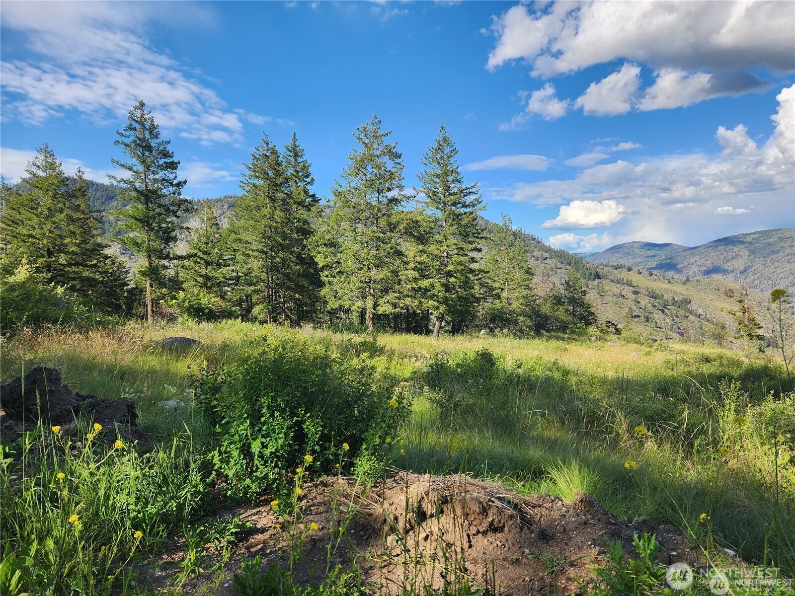 350 TBD Toats Coulee Road , Loomis, WA 98827