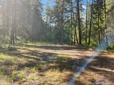 350 TBD Toats Coulee Road , Loomis, WA 98827 - Photo 11