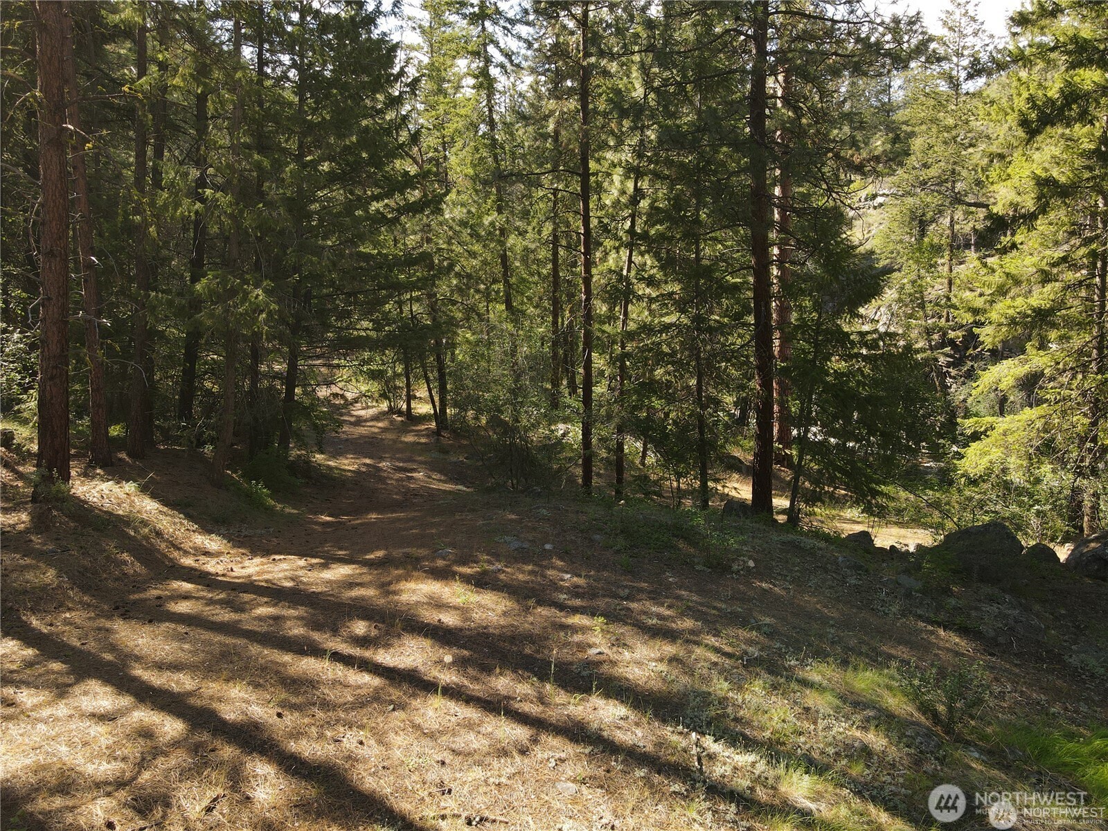 350 TBD Toats Coulee Road , Loomis, WA 98827