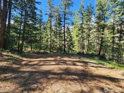 350 TBD Toats Coulee Road , Loomis, WA 98827 - Photo 16