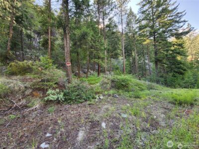 350 TBD Toats Coulee Road , Loomis, WA 98827 - Photo 19