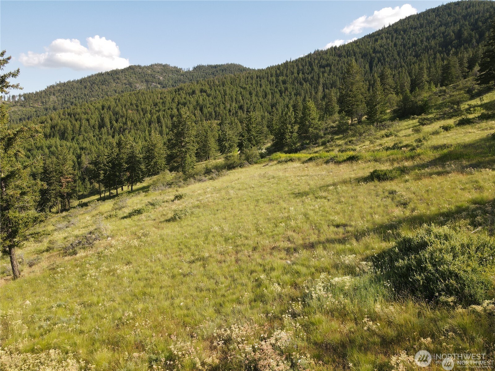 350 TBD Toats Coulee Road , Loomis, WA 98827