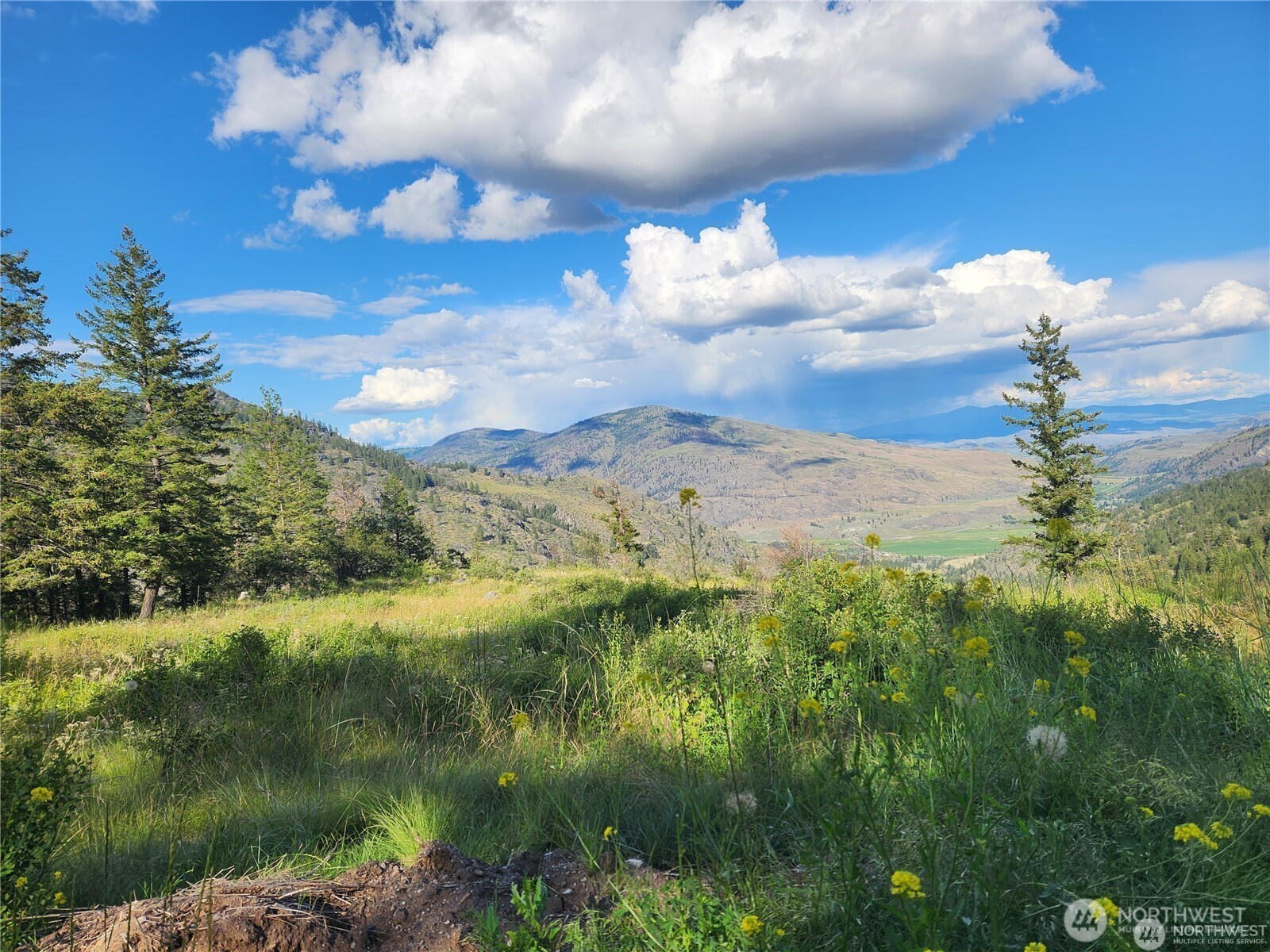 350 TBD Toats Coulee Road , Loomis, WA 98827