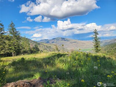 350 TBD Toats Coulee Road , Loomis, WA 98827 - Photo 25