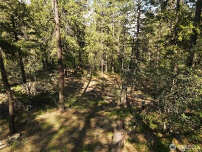 350 TBD Toats Coulee Road , Loomis, WA 98827 - Photo 28