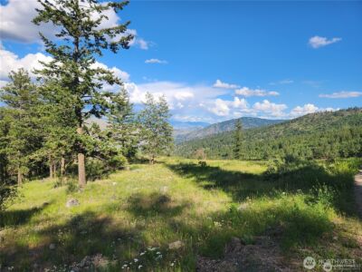 350 TBD Toats Coulee Road , Loomis, WA 98827 - Photo 3
